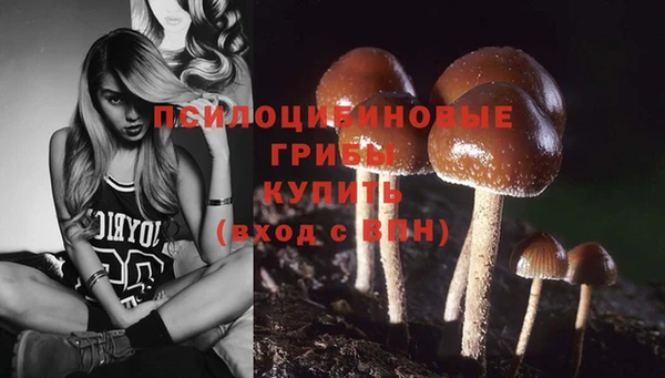 каннабис Алексеевка