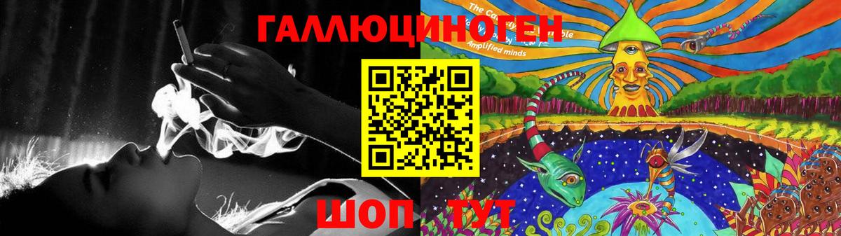 Псилоцибиновые грибы Psilocybe Анапа