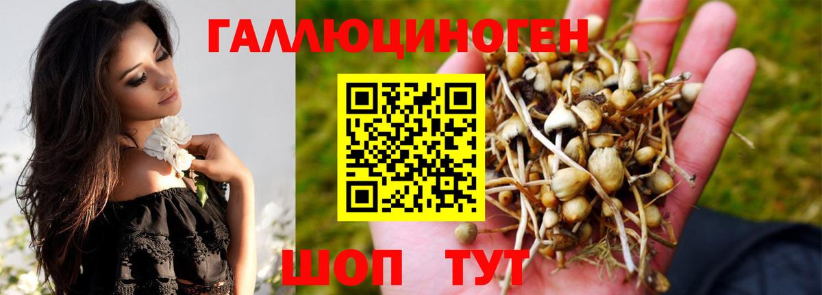 Галлюциногенные грибы Psilocybine cubensis  Псилоцибиновые грибы ЛСД  Вход с VPN  где продают   Анапа 