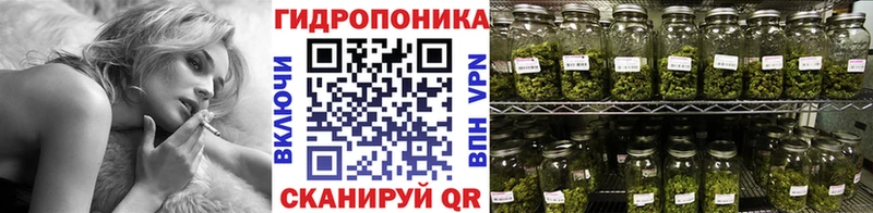 Канабис сатива  Анапа 